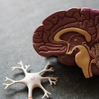 NeuralMind